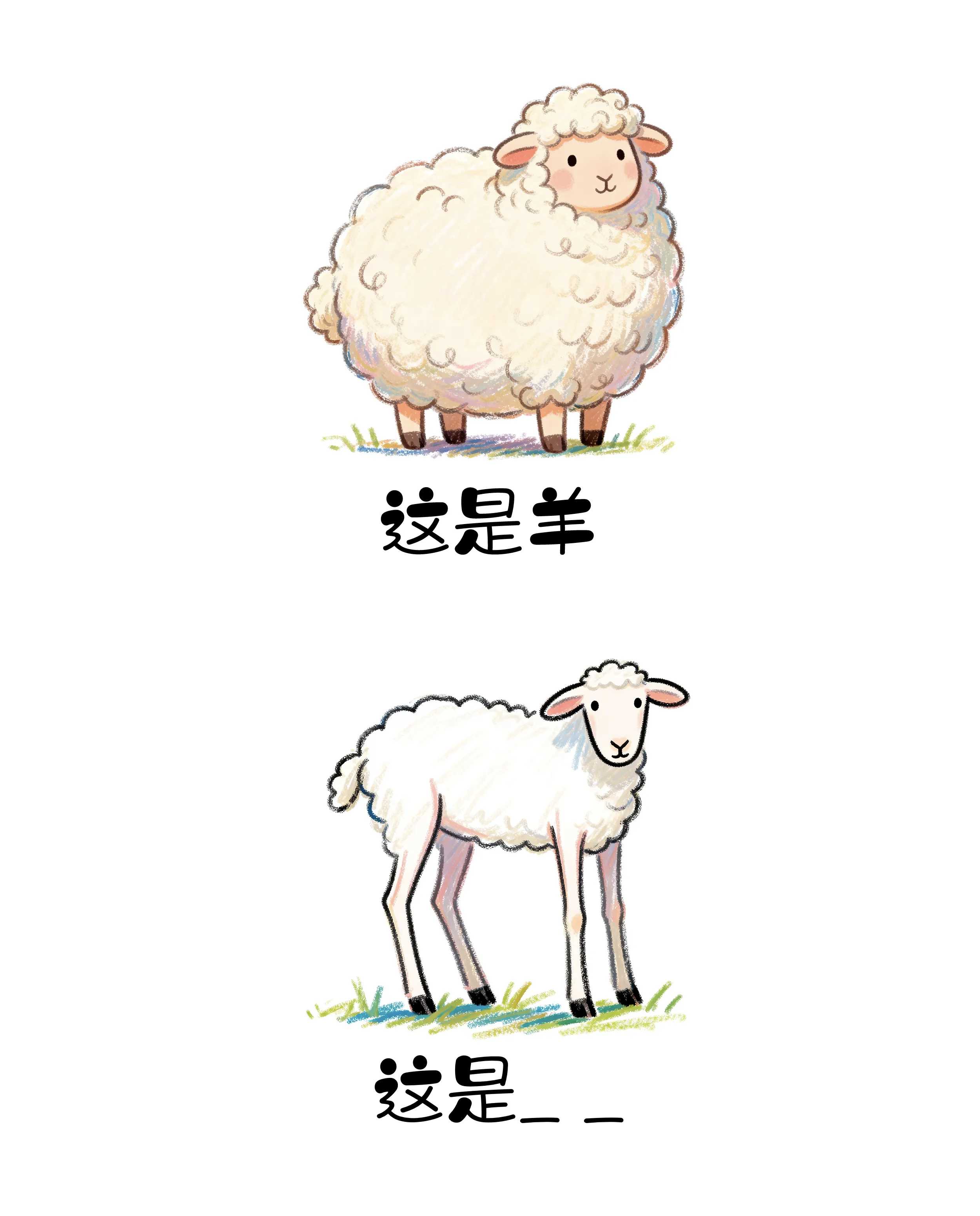维多利亚(中国品牌)官方网站-Victoria Company