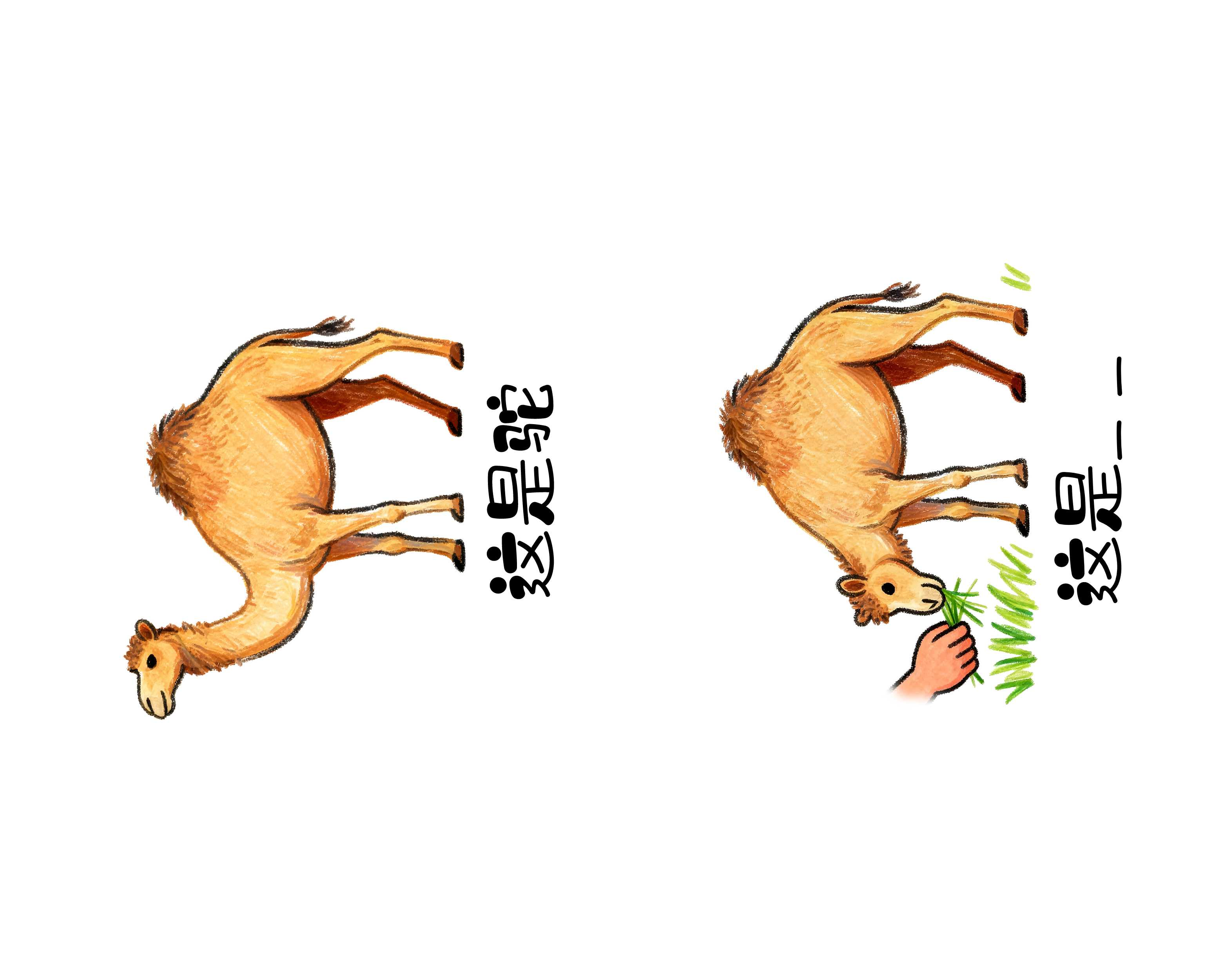 维多利亚(中国品牌)官方网站-Victoria Company