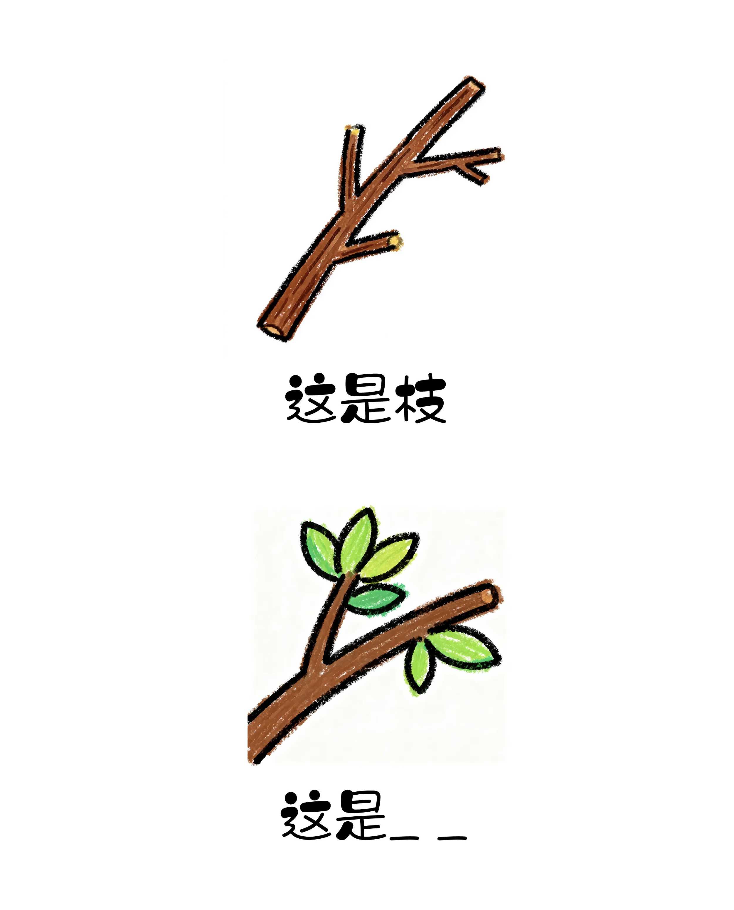 维多利亚(中国品牌)官方网站-Victoria Company